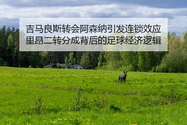 吉马良斯转会阿森纳引发连锁效应 里昂二转分成背后的足球经济逻辑